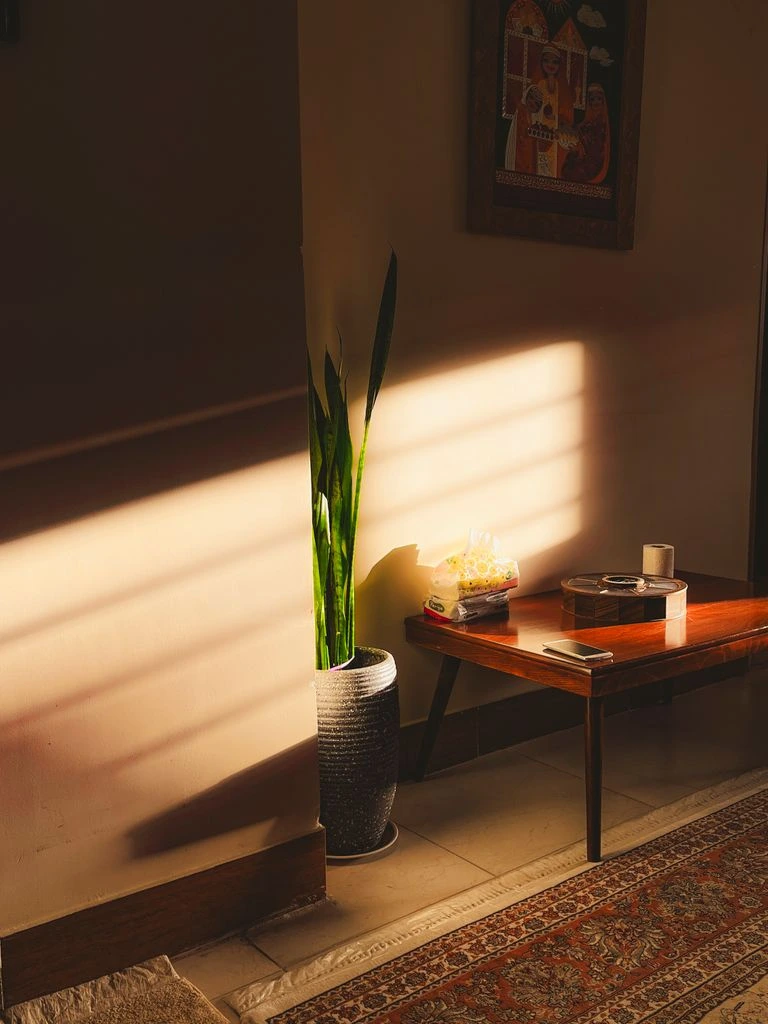 Stylist Maren Holloway's finished Brooklyn living room, photographed in afternoon light.